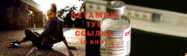 сатива Белокуриха