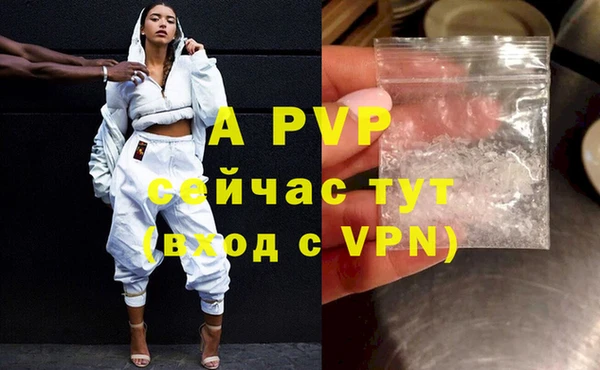 сатива Белокуриха