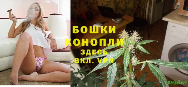 сатива Белокуриха