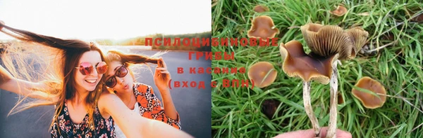 мяу мяу кристалл Белоозёрский