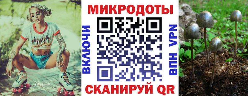 Псилоцибиновые грибы Psilocybe Усть-Джегута